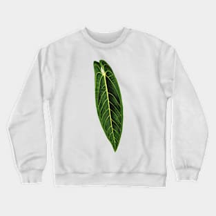 Anthurium warocqueanum leaf - Queen Anthurium botanical illustration Crewneck Sweatshirt